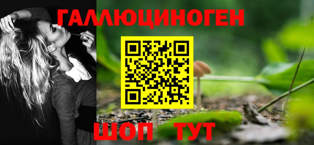 Галлюциногенные грибы GOLDEN TEACHER Апрелевка